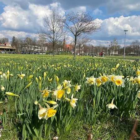 Cozy Center In دروسكينينكاي