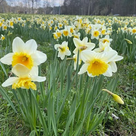 Cozy Center In شقة *