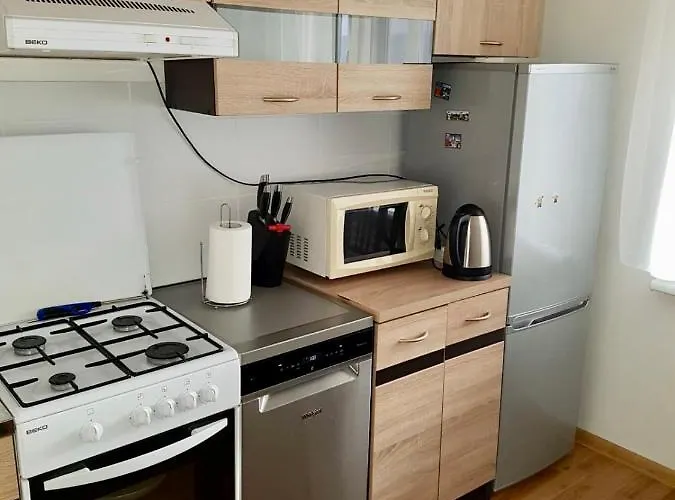 Apartament Cozy Center In Druskieniki