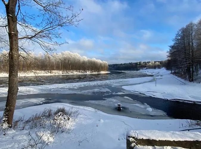 Apartament Cozy Center In Druskieniki