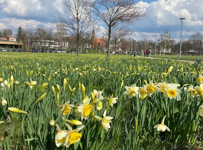 Cozy Center In Druskieniki