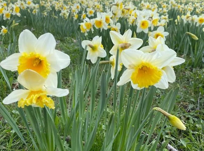 Cozy Center In شقة *