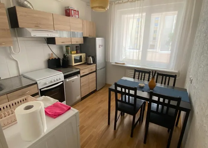 Cozy Center In دروسكينينكاي